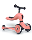 S96353 MONOPATTINO 2 IN 1 PESCA VERSIONE CAVALCABILE
