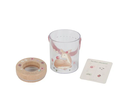 LD9104 VASETTO PER INSETTI FAIRY GARDEN