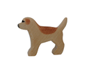 1583  CANE GOLDEN RETRIVER