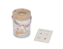 LD9104 VASETTO PER INSETTI FAIRY GARDEN
