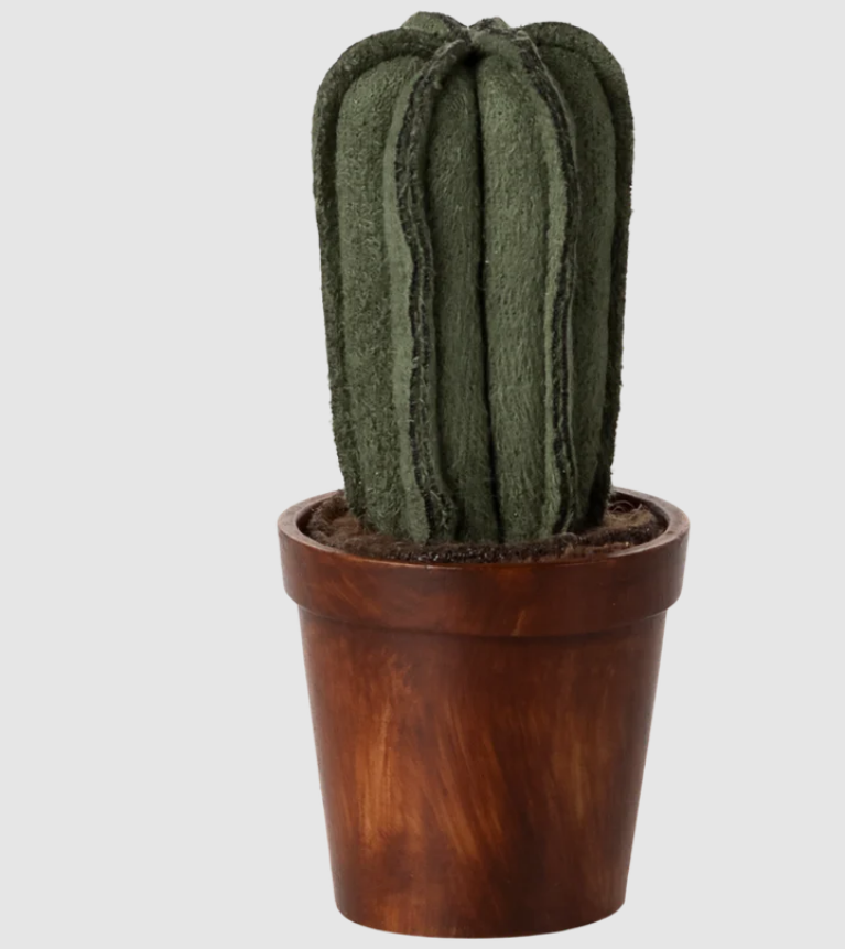 11-5301-00 VASO DI FIORI CON CACTUS