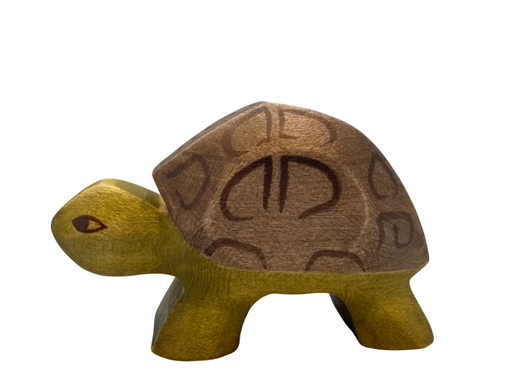 5819 TARTARUGA