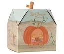 carrozza in linoa forma di zucca packaging